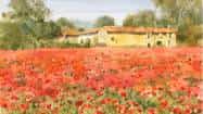 watercolor-painting-with-master-step-by-step-poppy-field