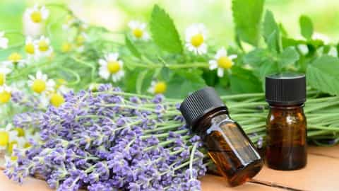 Introduction To Essential Oils