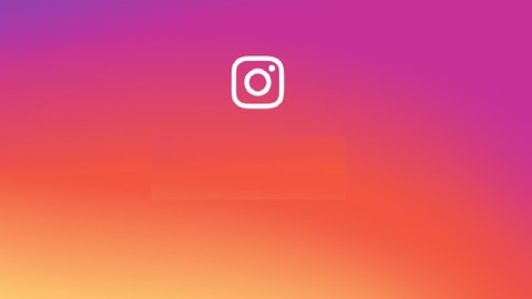 Instagram Marketing Masterclass – Reach 1,000,000 Followers!